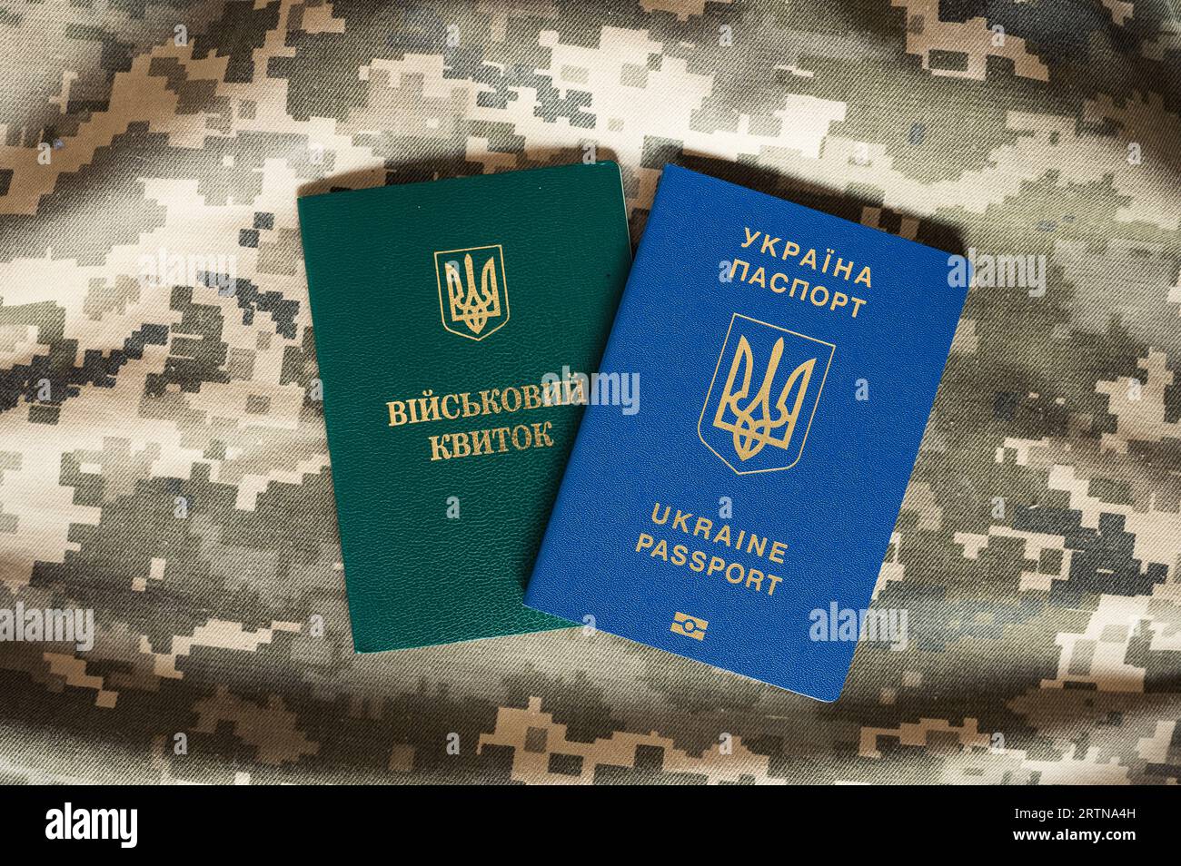 Traduzione: "id militare". Passaporto ucraino e documento dell'esercito per principiante, veterano, soldato su sfondo pixel mimetico Foto Stock