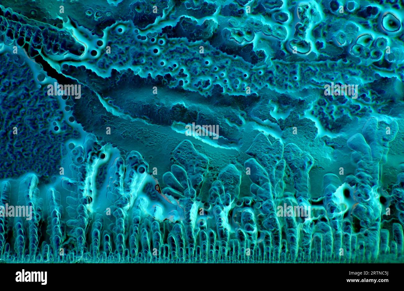 L'immagine presenta la salsa di soia cristallizzata, fotografata attraverso il microscopio a luce polarizzata con un ingrandimento di 100X. Foto Stock