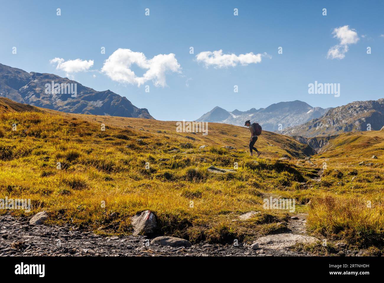 Escursionista sull'altopiano alpino di Greina, Surselva Foto Stock