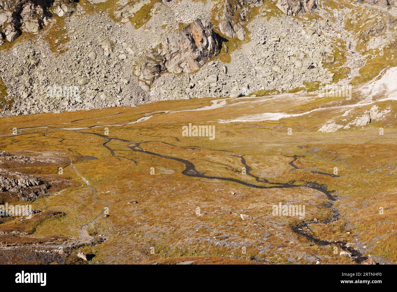 torrente serpeggiante sull'altopiano alpino di Greina, Surselva Foto Stock