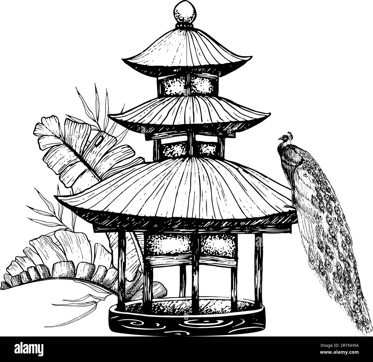 Padiglione esotico con foglie di palma tropicali e pavone seduto sul tetto illustrazione grafica vettoriale in bianco e nero Illustrazione Vettoriale