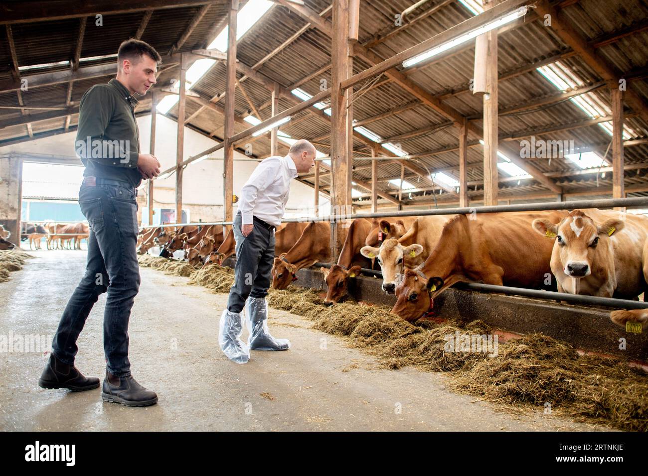 Brema, Germania. 14 settembre 2023. Il Cancelliere tedesco Olaf Scholz (r, SPD) visita la stalla del contadino Max Sündermann nella fattoria biologica insieme a lui. Il Cancelliere ha dato un'occhiata alla produzione casearia nell'azienda agricola della famiglia Sündermann a Brema-Oberneuland. Credito: Hauke-Christian Dittrich/Pool/dpa/Alamy Live News Foto Stock