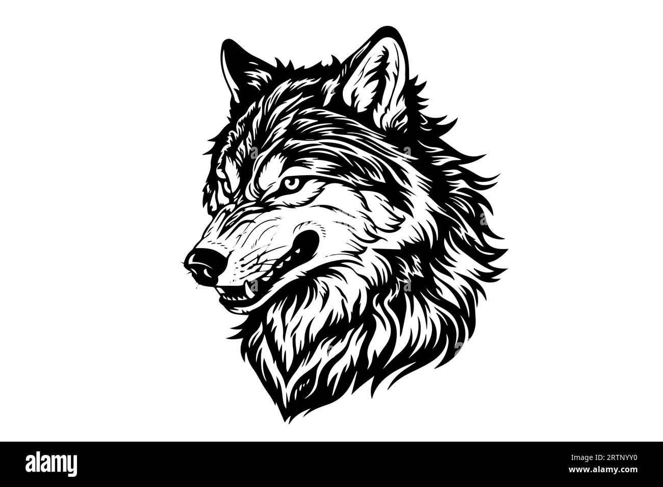 Schizzo a inchiostro disegnato a mano dalla testa di lupo arrabbiato. Incisione illustrazione vettoriale in stile vintage. Design per logotipo, mascotte, stampa. Illustrazione Vettoriale