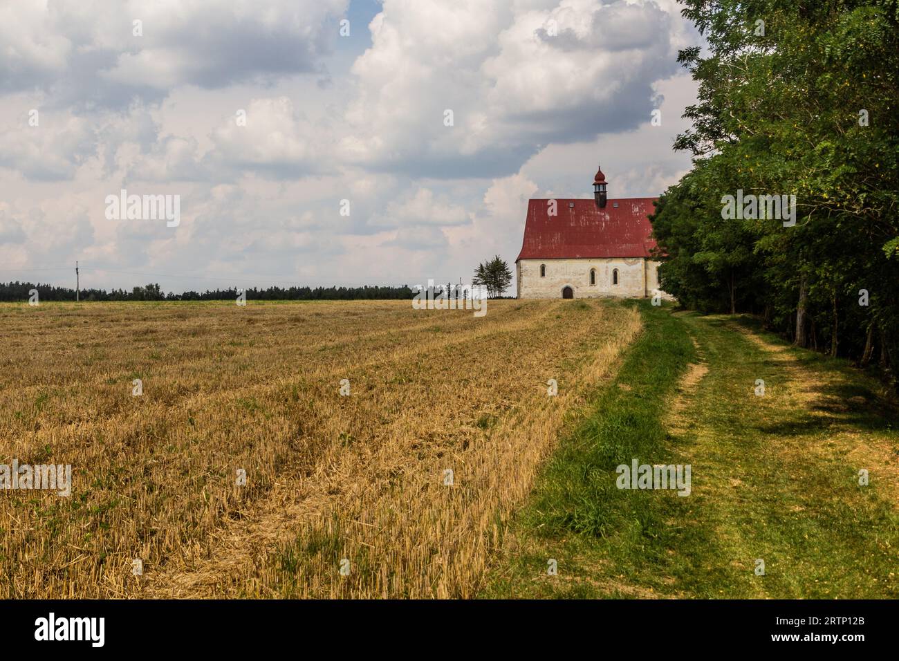 Kostel Nanebevzetí Panny Marie (Chiesa dell'assunzione della Vergine Maria) vicino al villaggio di Dobronice u Bechyne, Repubblica Ceca Foto Stock