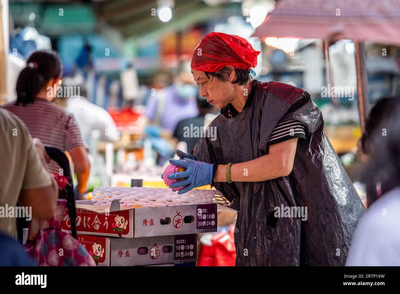 Hong Kong, Hong Kong. 14 settembre 2023. Un operaio del mercato indossa sacchetti di plastica mentre prepara la sua stalla sotto la pioggia battente. Gli Hong Kong si sono svegliati con un altro segnale di allarme pioggia rosso, poiché si prevedeva che più di 50 mm di pioggia cadessero durante le ore del mattino. Le scuole erano chiuse e i pendolari schivavano le pozzanghere in mezzo al versamento. Con più di 1000 mm di pioggia registrate nelle ultime due settimane e nove avvisi pioggia emessi fino ad oggi, questo settembre potrebbe essere il più umido mai registrato. Credito: SOPA Images Limited/Alamy Live News Foto Stock