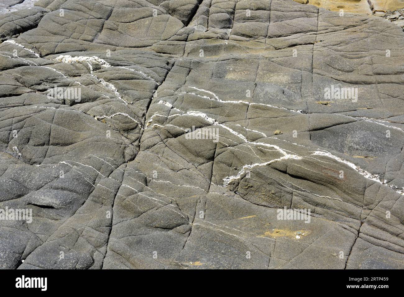 Arenaria e turbidite da Carboniferi. Questa foto è stata scattata a Cap Favaritx, Isola di Minorca, Isole Baleari, Spagna. Foto Stock