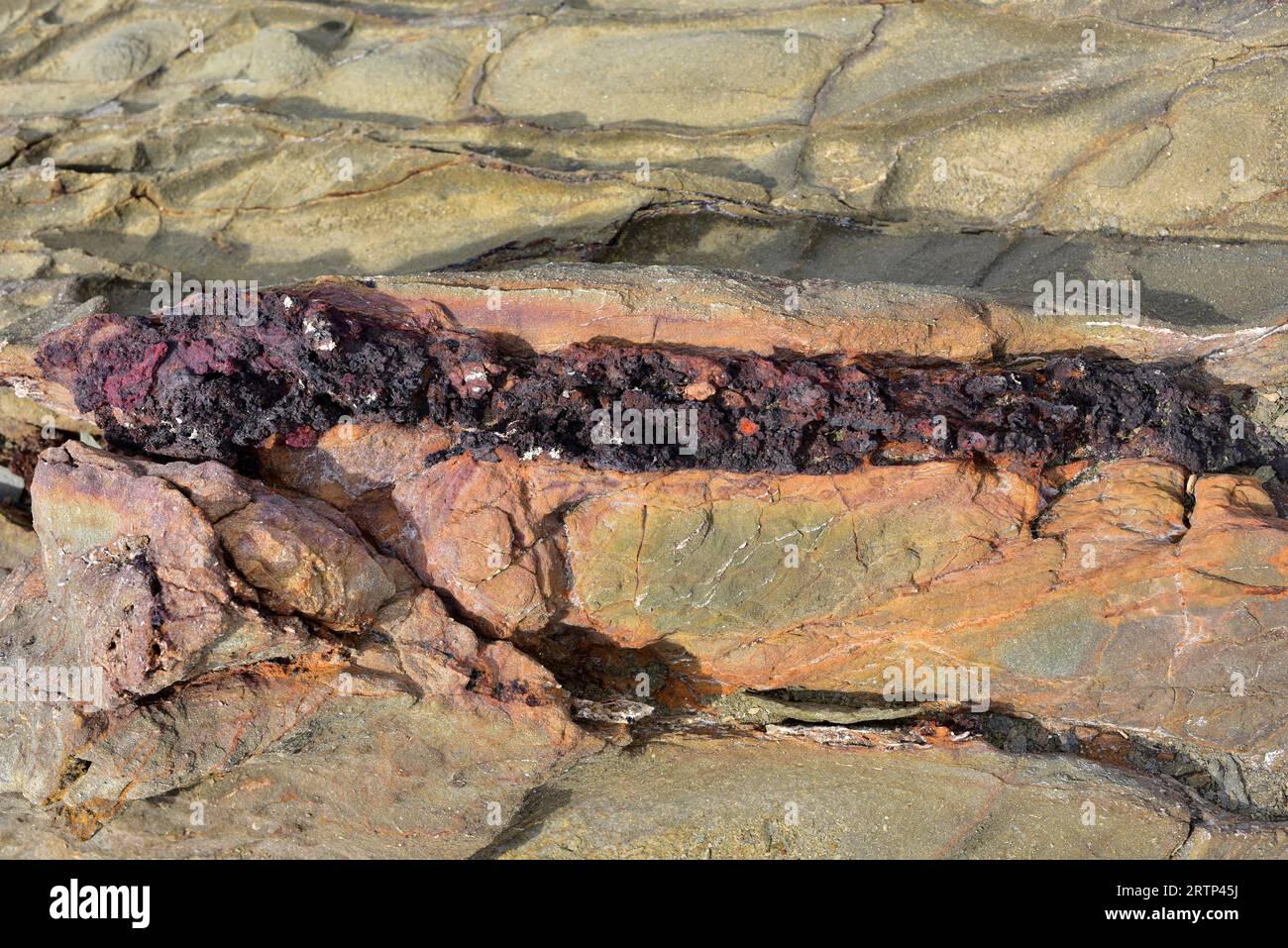 Vena ematite in una roccia turbiditica. Questa foto è stata scattata a Cap Favaritx, Isola di Minorca, Isole Baleari, Spagna. Foto Stock