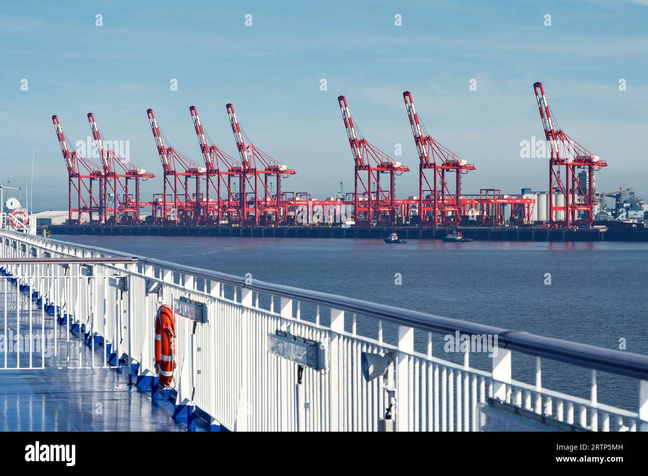Una linea di gru container da nave a terra presso il molo di Peel Ports a Liverpool, Regno Unito Foto Stock