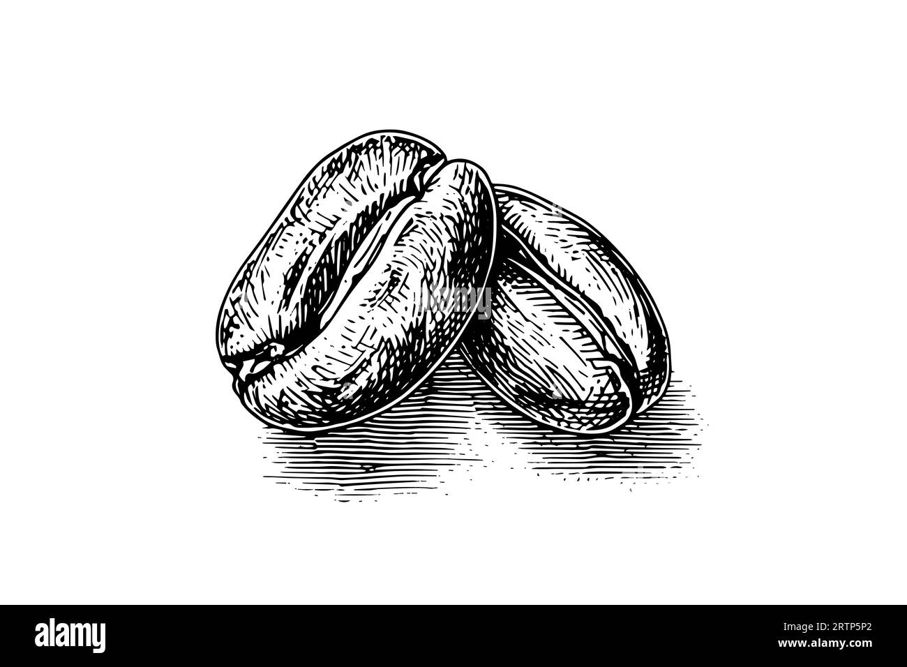 Grani di caffè disegnati a mano, illustrazione vettoriale. Illustrazione Vettoriale