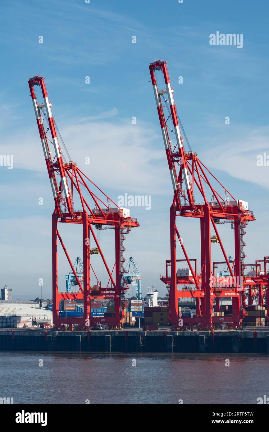 Due gru container da nave a terra presso il molo di Peel Ports a Liverpool, Regno Unito Foto Stock