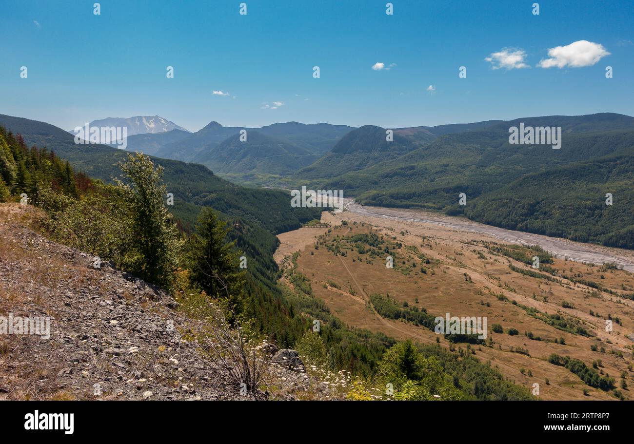 TOUTLE RIVER, WASHINGTON, USA - Mount St Helens National Volcanic Monument, Gifford Pinchot National Forest, sulle montagne Cascades. Foto Stock