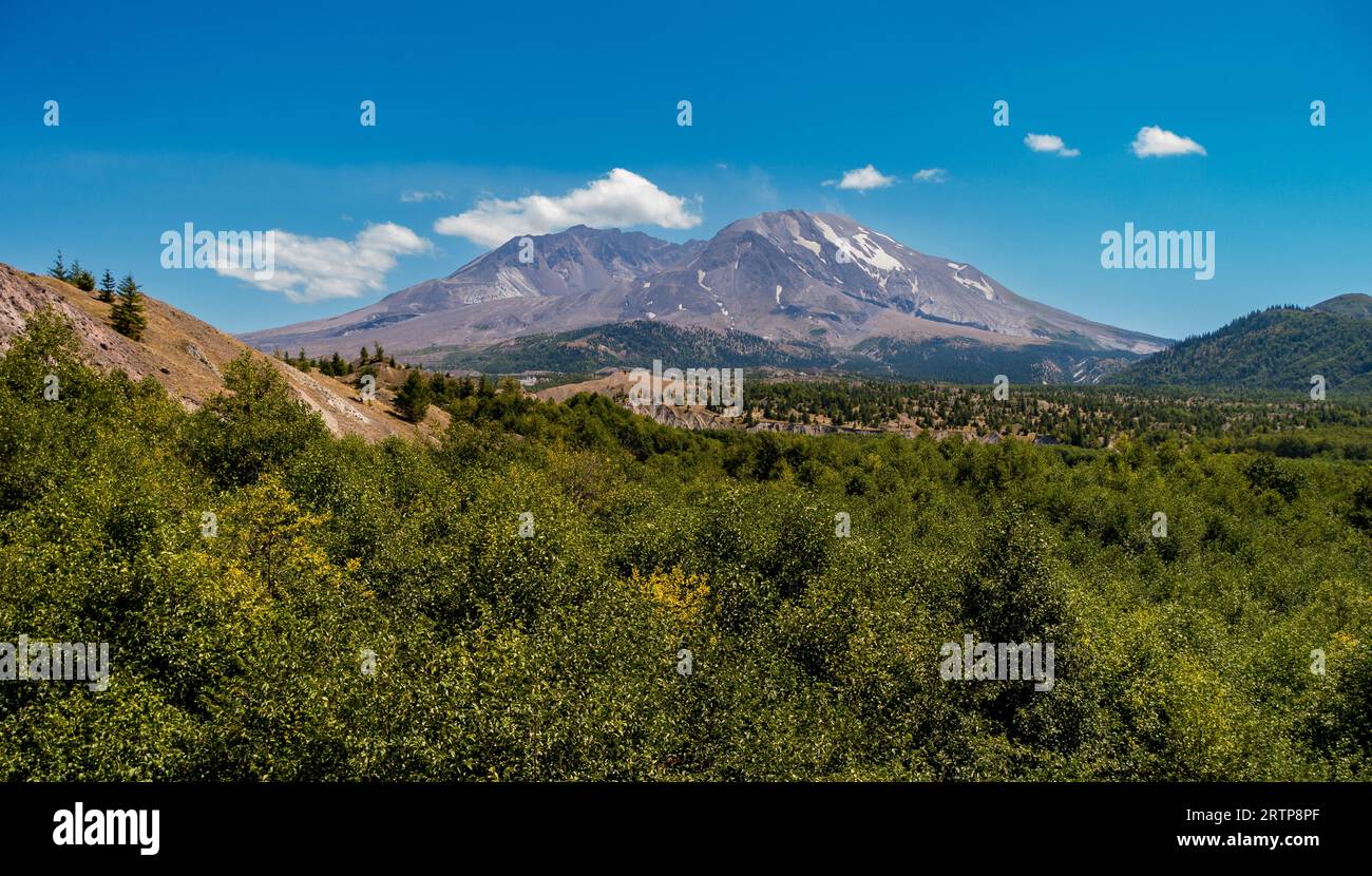 WASHINGTON, USA - Mount St Helens National Volcanic Monument, Gifford Pinchot National Forest, sulle montagne Cascades. Foto Stock