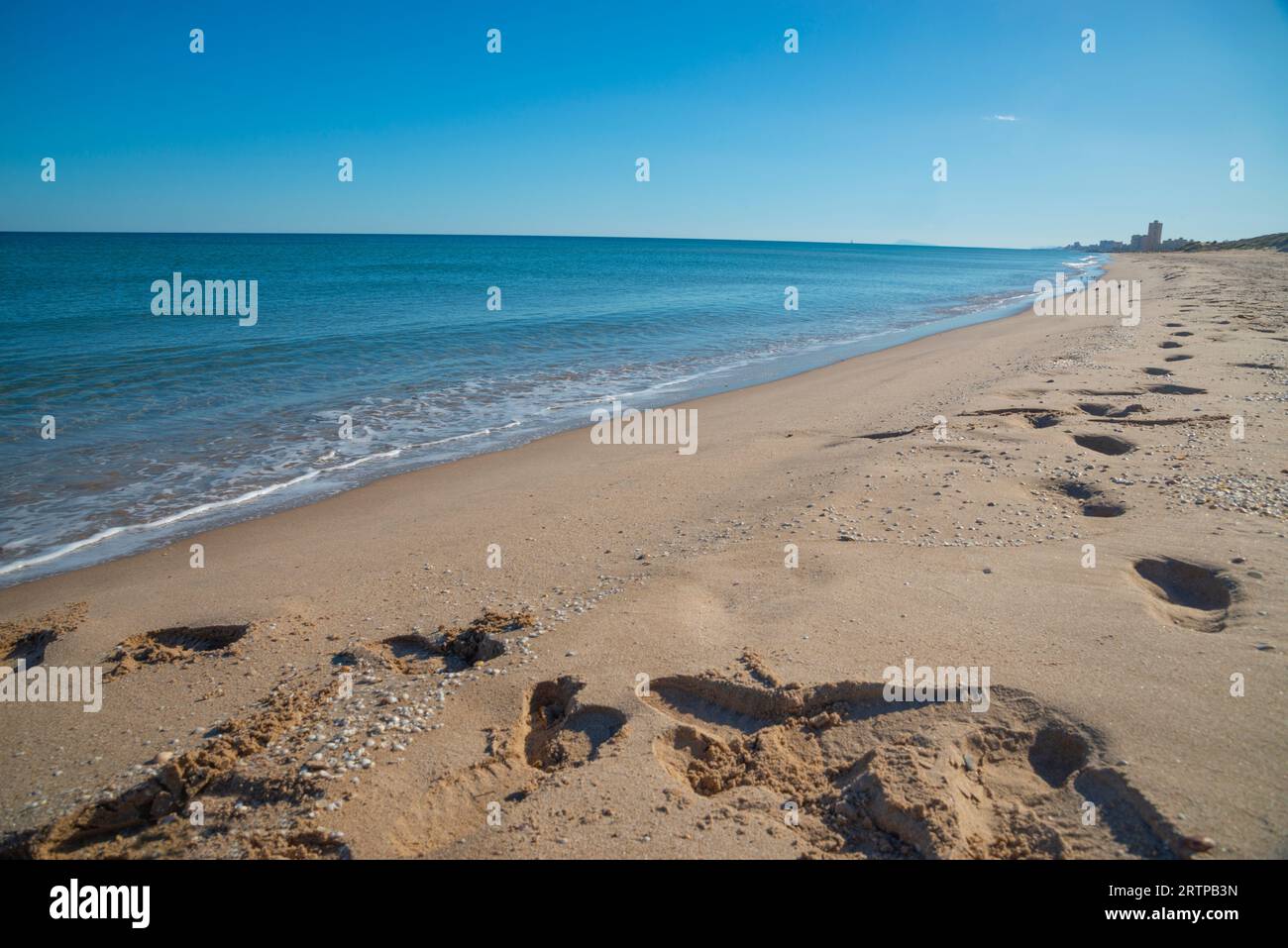 Beach, El Saler, Comunidad Valenciana, Spagna. Foto Stock