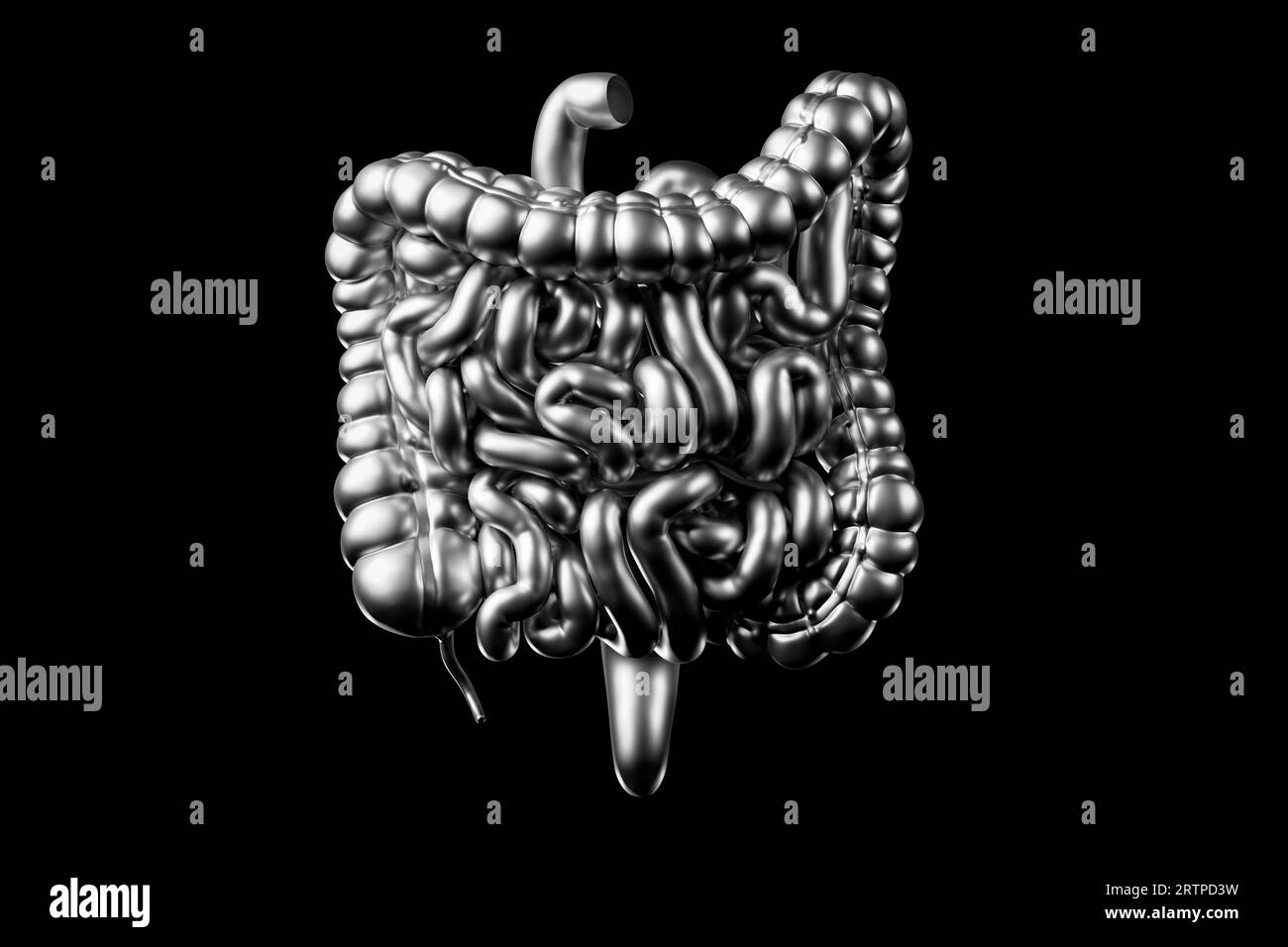illustrazione 3d dell'intestino umano in metallo. Intestino crasso e tenue isolato su bianco Foto Stock
