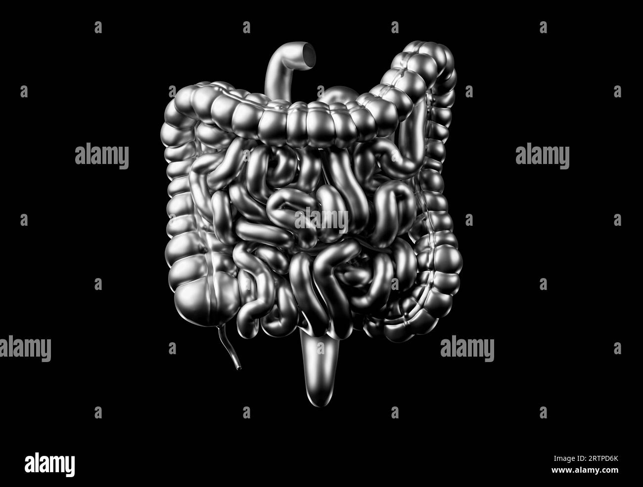 Intestino umano fatto di metallo. Rendering 3D dell'intestino crasso e tenue isolato su bianco Foto Stock