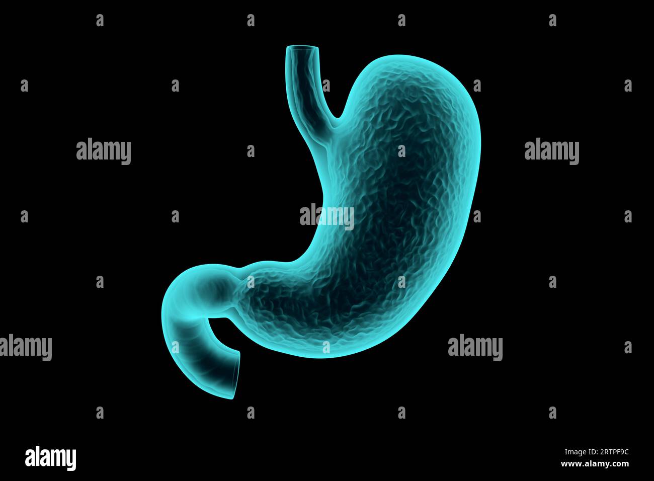 illustrazione 3d di simulazioni realistiche di raggi x dello stomaco umano isolate sul nero Foto Stock