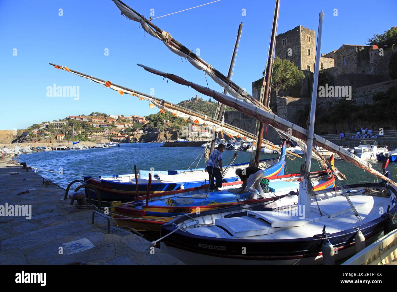 Latin naviga sul molo di fronte allo Chateau Royal del XIII - XVIII secolo (classificato come monumento storico). Collioure, Occitanie, Francia Foto Stock