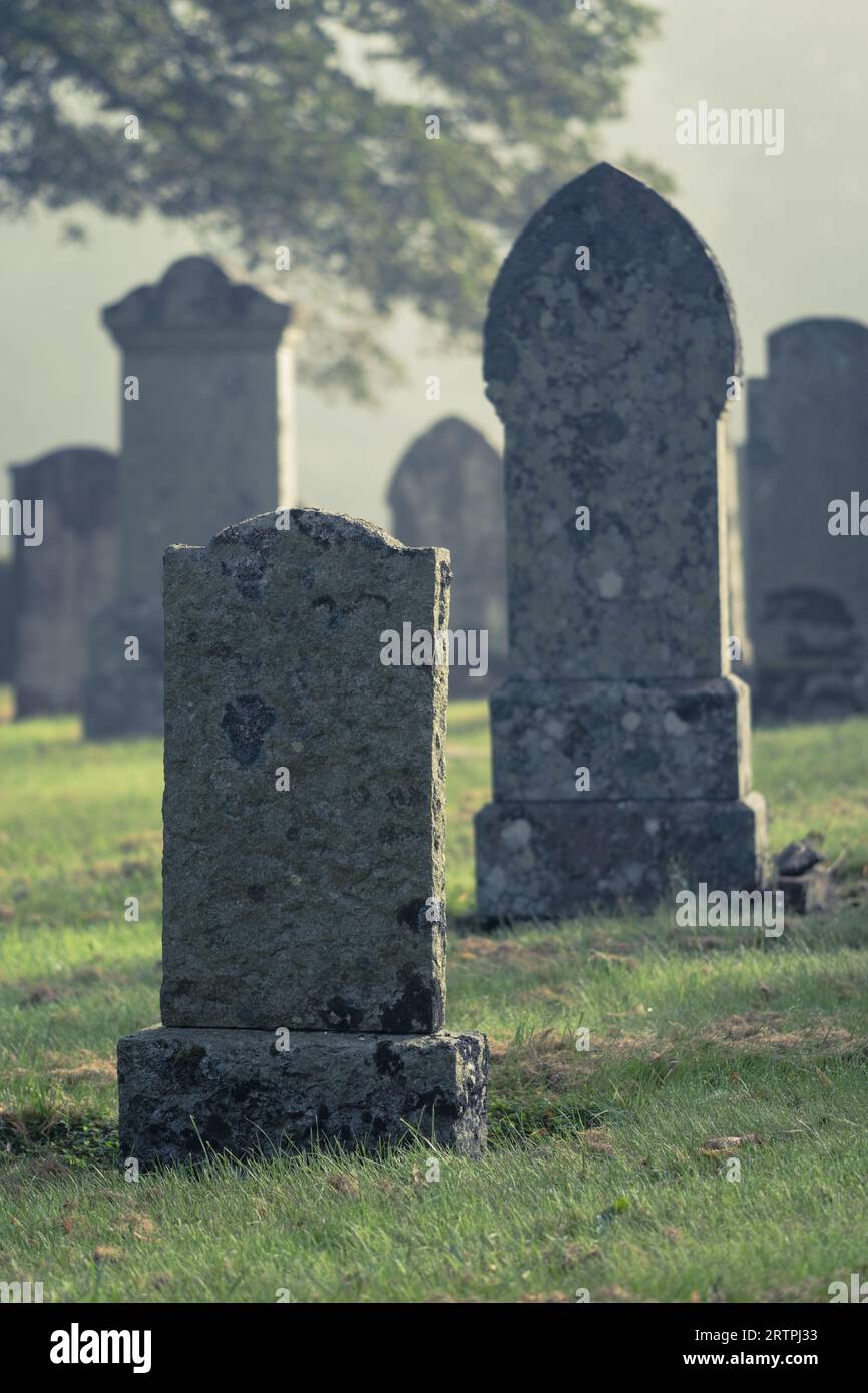 Un antico cimitero all'alba con nebbia Foto Stock