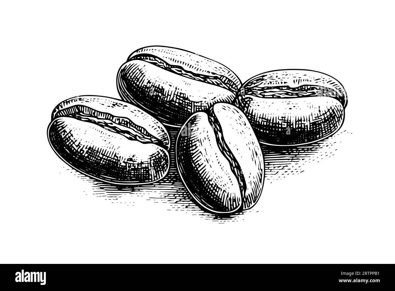 Grani di caffè disegnati a mano, illustrazione vettoriale. Illustrazione Vettoriale