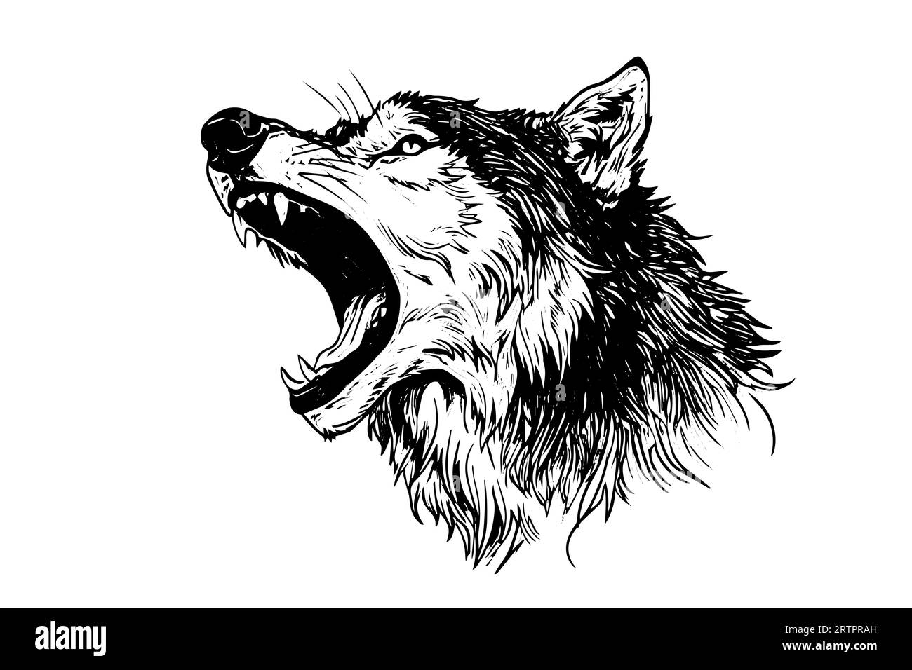 Schizzo a inchiostro disegnato a mano dalla testa di lupo arrabbiato. Incisione illustrazione vettoriale in stile vintage. Design per logotipo, mascotte, stampa. Illustrazione Vettoriale