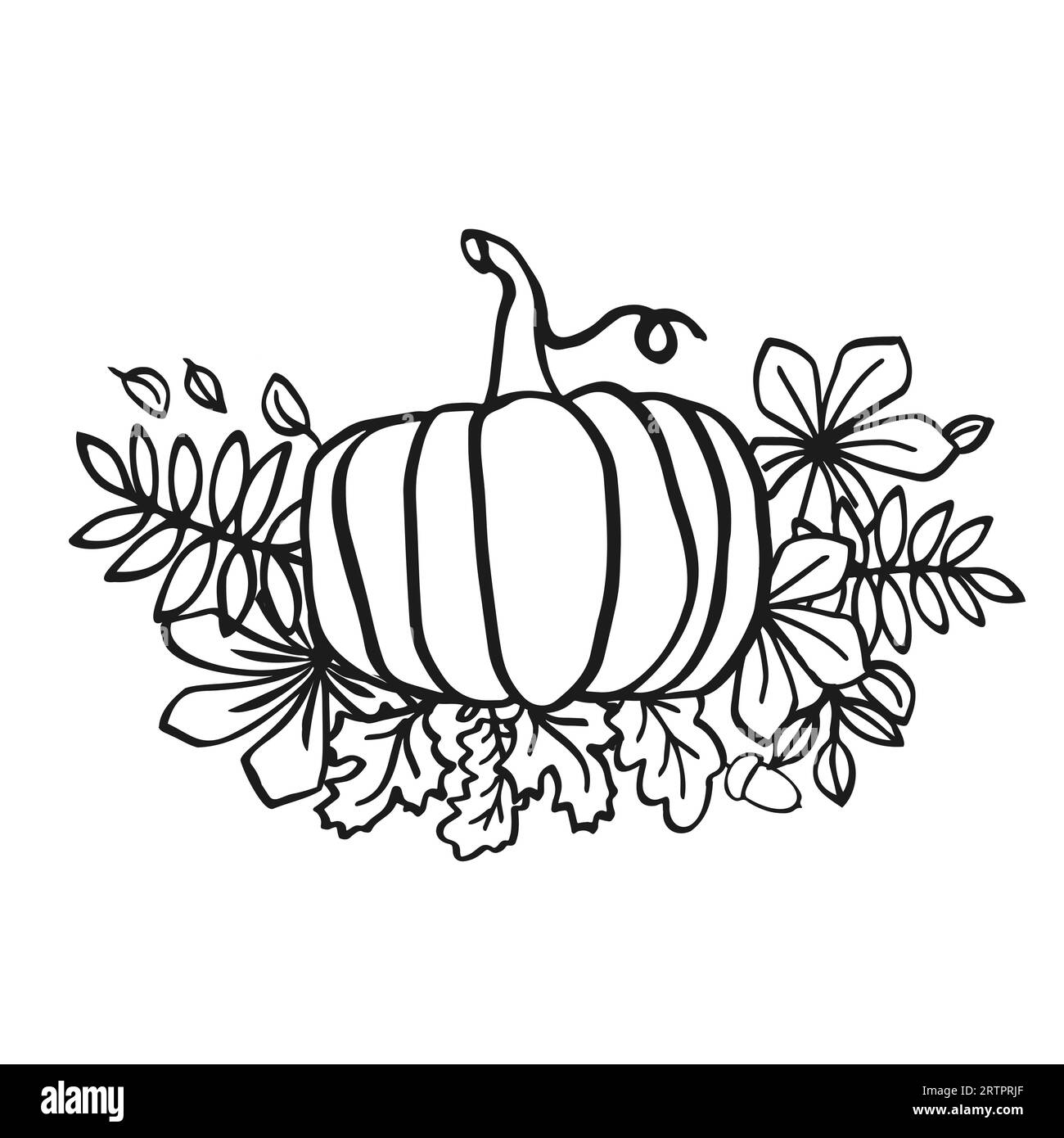 Zucche illustrazione del ringraziamento sfondo vettoriale bianco e nero Illustrazione Vettoriale