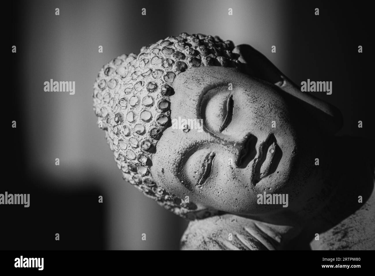 Ritratto del Buddha Foto Stock