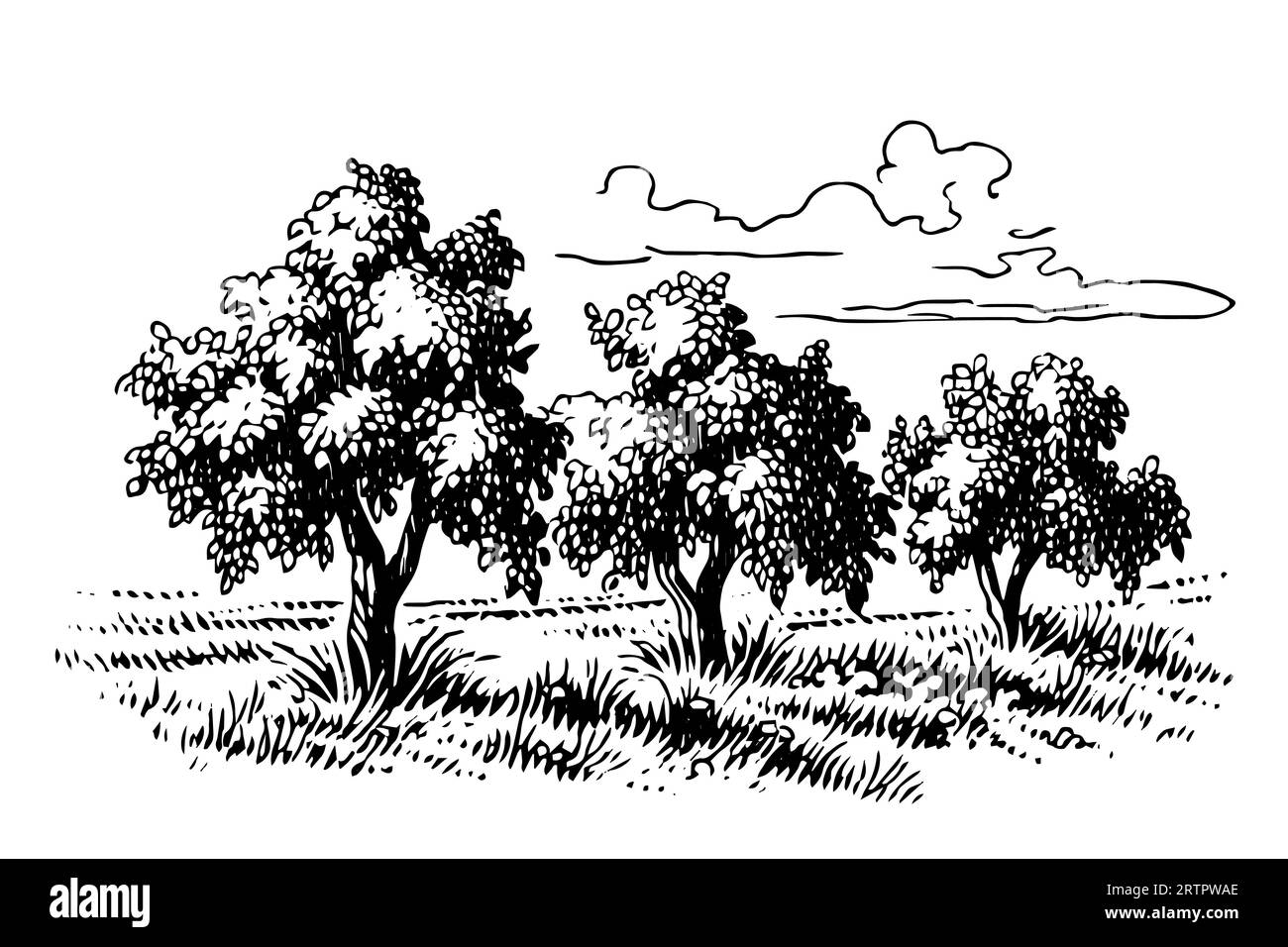 Paesaggio rurale con alberi in campo . Illustrazione vettoriale di schizzi disegnati a mano d'epoca. Illustrazione Vettoriale