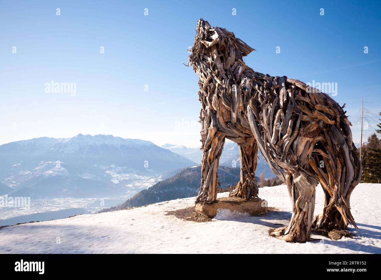 Scultura in legno di un lupo fatto di rami d'albero. Vaia tempesta lupo Foto Stock