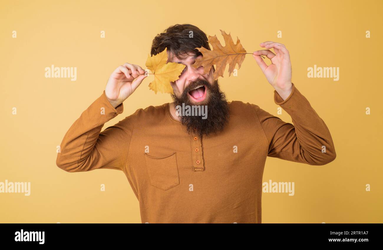 Ottobre. Uomo autunnale con abiti alla moda occhi coperti con foglie autunnali. Abbigliamento autunnale per uomini. Uomo dalla barba felice in maglione arancione. Autunno stagionale Foto Stock