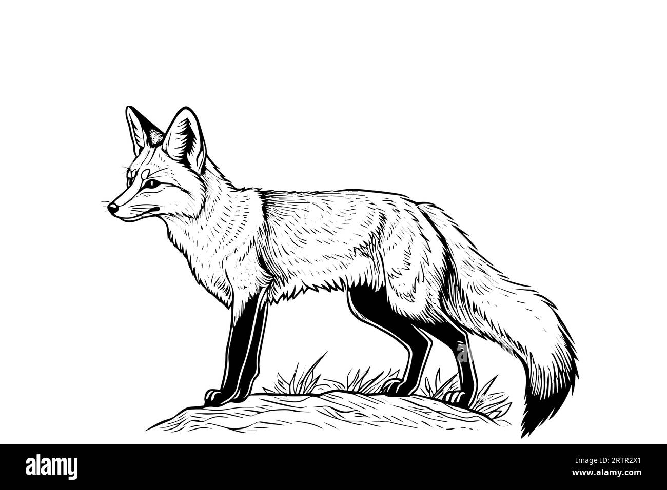 Mascotte con logotipo Fox disegnate a mano. Illustrazione vettoriale in stile incisione. Illustrazione Vettoriale