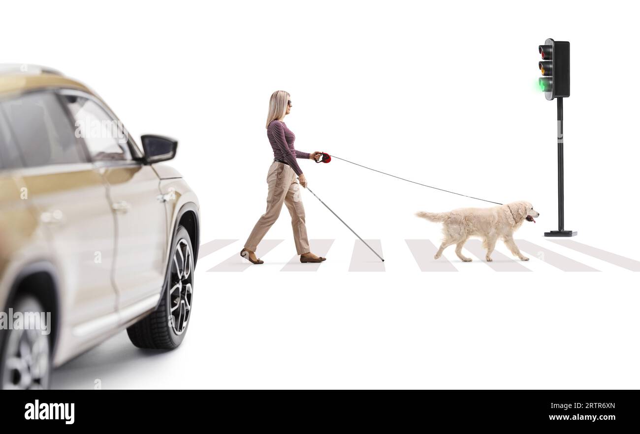 Un'auto che aspetta all'attraversamento pedonale e una giovane donna cieca con un cane su un piombo che attraversa la strada isolata su sfondo bianco Foto Stock
