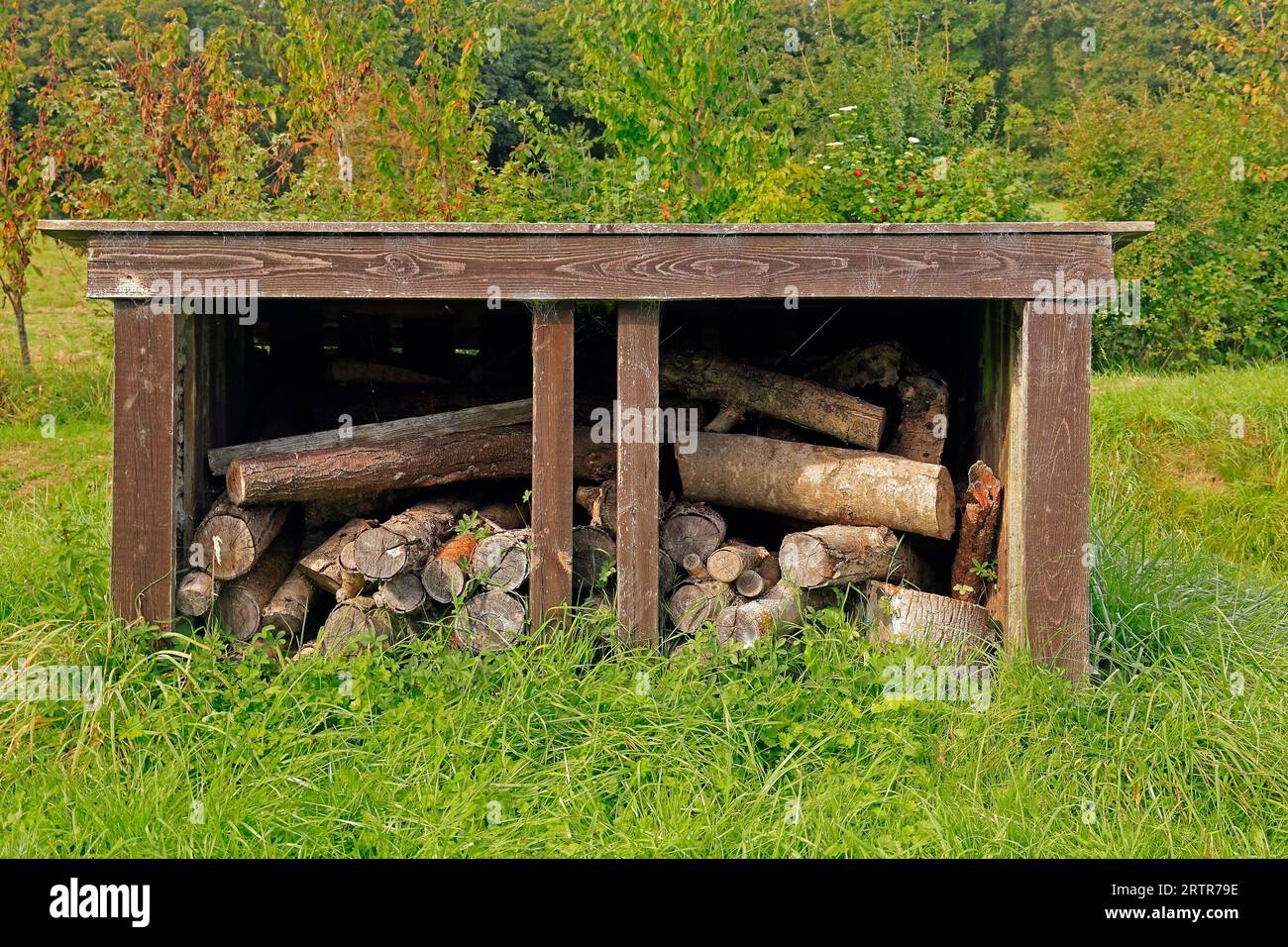 Villaggio medievale presso Cosmeston Lakes and Country Park, Galles del Sud. Presa nel settembre 2023 Foto Stock