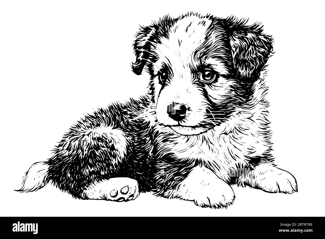 Simpatico schizzo a inchiostro disegnato a mano da cucciolo. Cane con illustrazione vettoriale in stile incisione. Illustrazione Vettoriale