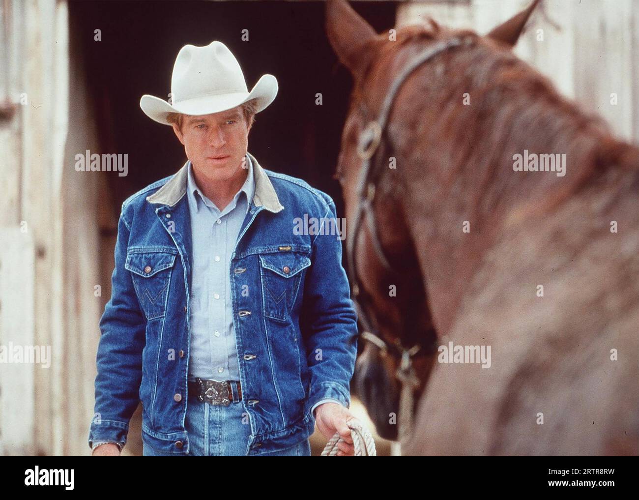 THE HORSE WHISPERER 1998 Buena Vista Distribution film con Robert Redford Foto Stock