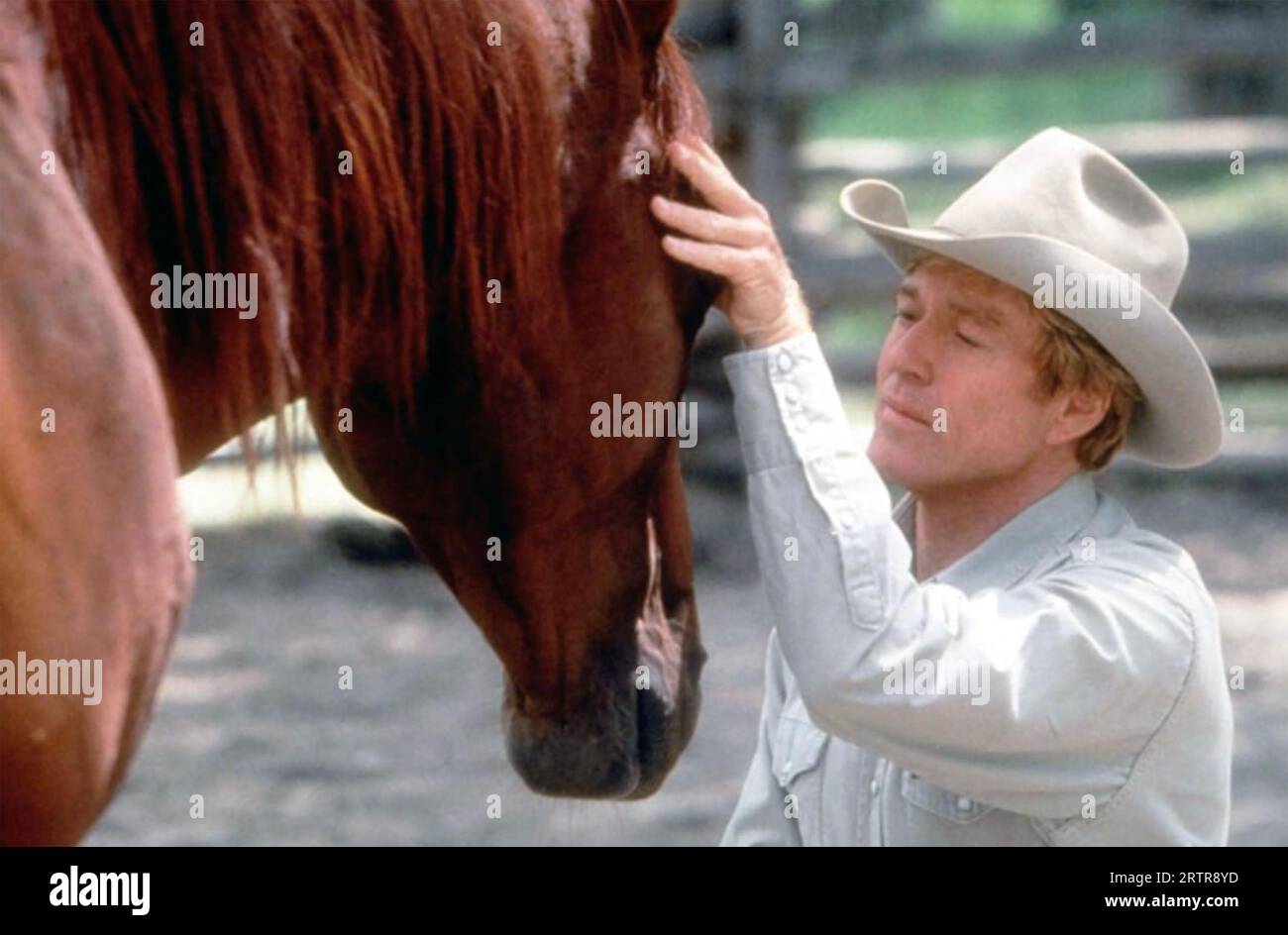THE HORSE WHISPERER 1998 Buena Vista Distribution film con Robert Redford Foto Stock
