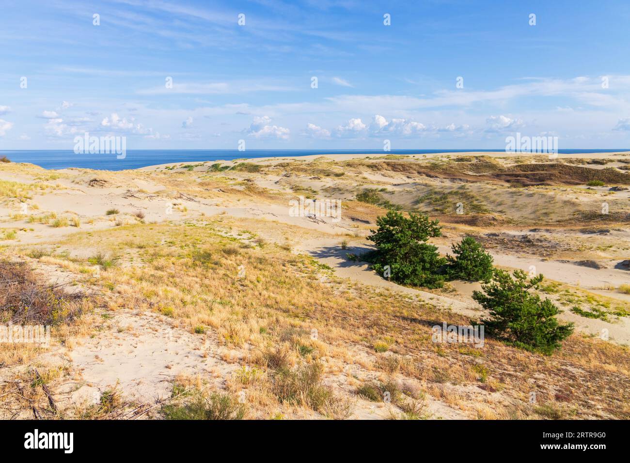 Paesaggio di sputa curoniana, dune costiere sabbiose sono sotto il cielo blu in una giornata di sole, Oblast' di Kaliningrad, Russia Foto Stock