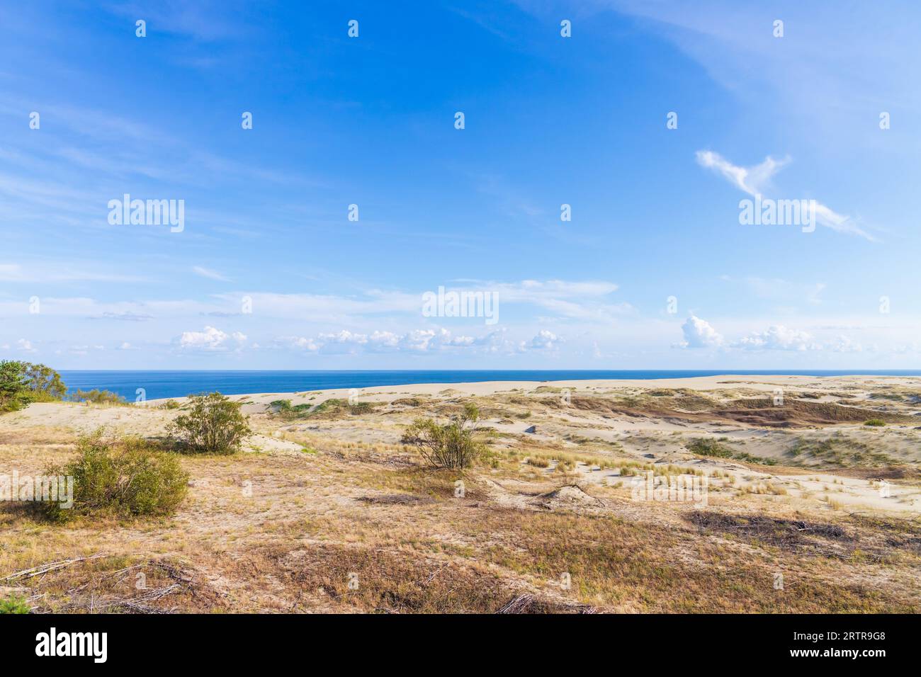 Curonian Spit, foto di paesaggi naturali. Le dune costiere sono sotto il cielo nuvoloso blu in una giornata di sole in estate, nell'Oblast' di Kaliningrad, in Russia Foto Stock