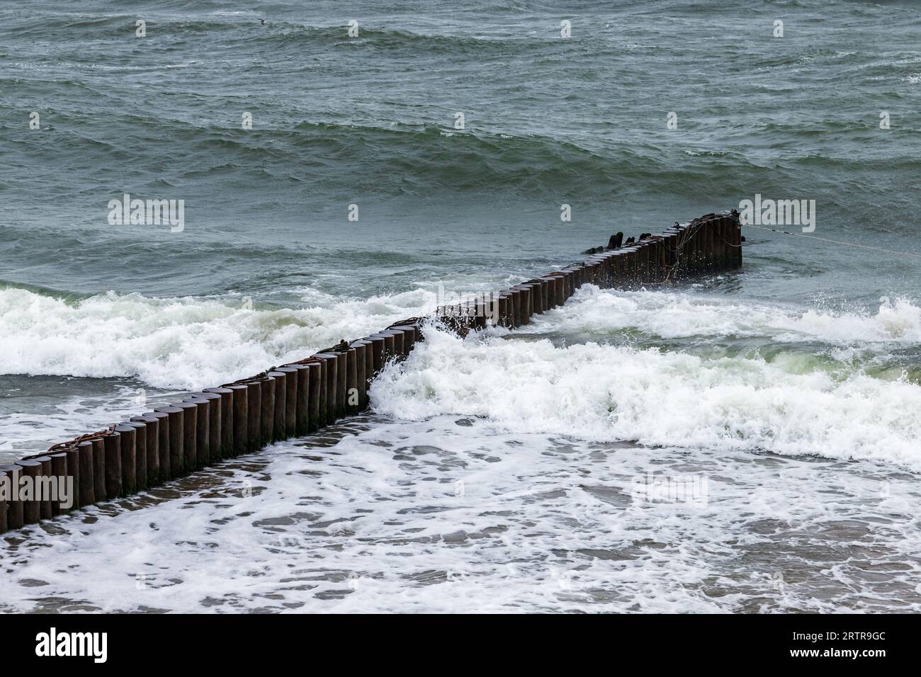 Le onde si infrangono sulla struttura di una parete di legno frangiflutti, sulla costa del Mar Baltico in un giorno d'estate. Zelenogradsk, regione di Kaliningrad, Russia Foto Stock