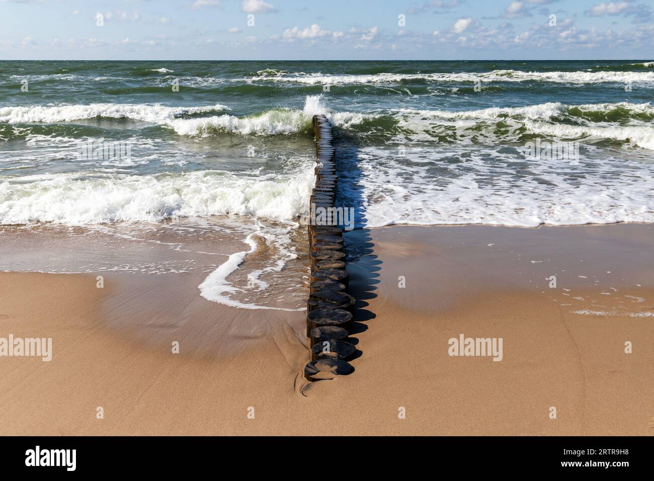 Spiaggia sabbiosa con acqua costiera e frangiflutti di legno montati sulla costa del Mar Baltico. Foto del paesaggio scattata in una soleggiata giornata estiva. Zelenogradsk, Kaliningrad Foto Stock