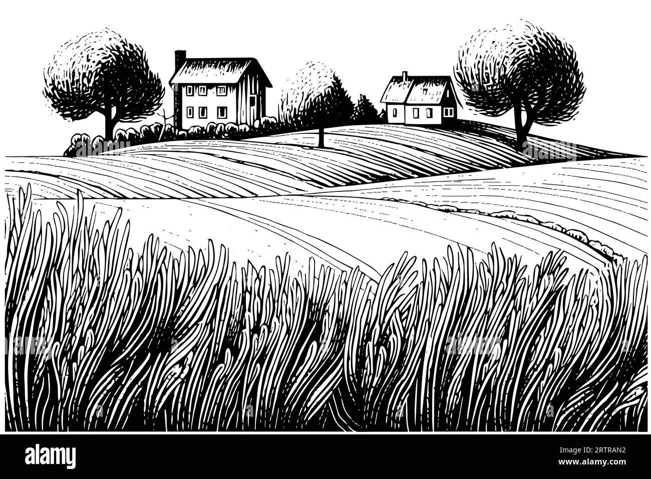 Paesaggio rurale con una fattoria in stile incisione. Illustrazione vettoriale disegnata a mano. Illustrazione Vettoriale
