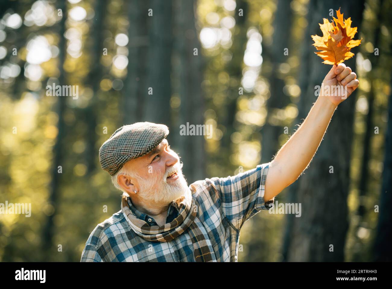 Anziano sorridente che tiene foglie gialle d'autunno al parco. Uomo anziano che passeggia in un parco in autunno. Nonno che si diverte nel parco autunnale. Foto Stock