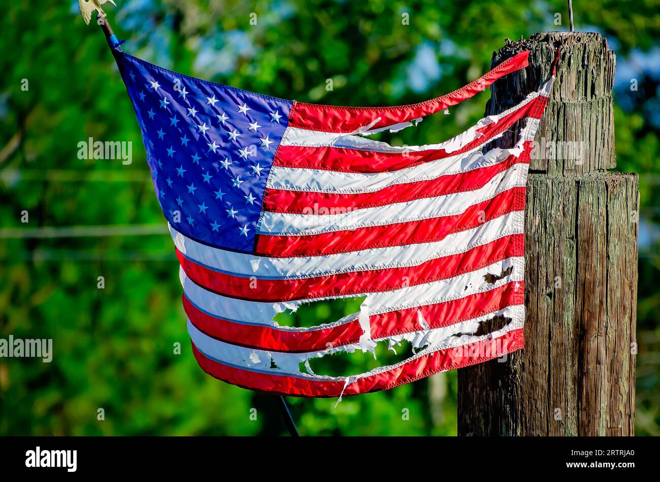 Una bandiera americana strappata pende da un post, l'11 settembre 2023, a Bayou la Batre, Alabama. Foto Stock