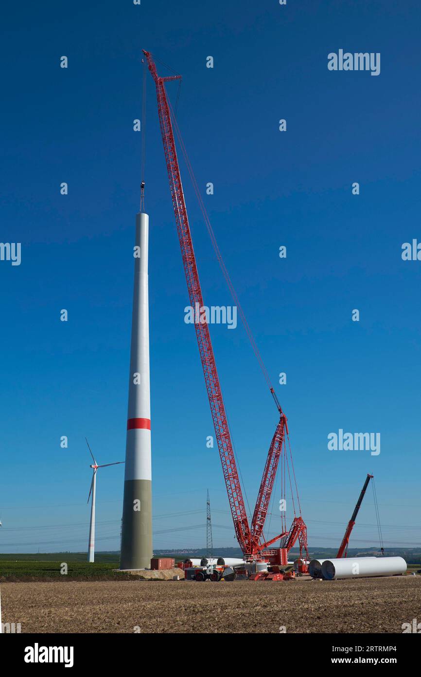 Turbine eoliche, in costruzione, ultima generazione, pale rotore, rotori, gru, turbina eolica, energia eolica, Flonheim, regione del Reno-Assia Foto Stock