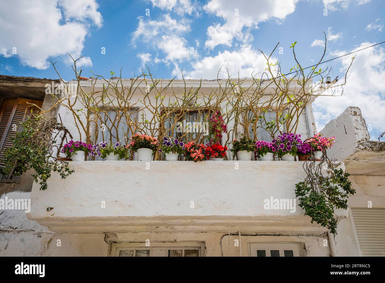 Tipica casa greca, decorata, bianca, con facciata, fiori, vasi, Grecia Foto Stock