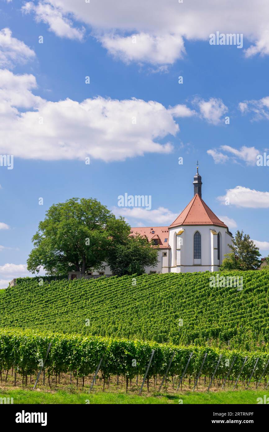 Chiesa del Monastero di protezione della Vergine Maria, Vogelsburg vicino a Volkach, Mainfranken, Mainschleife, Franconia, bassa Franconia, Baviera Foto Stock