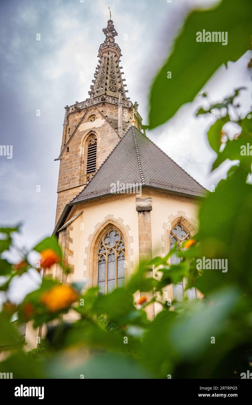 Chiesa storica incorniciata dal verde, Rottenburg am Neckar, Germania Foto Stock