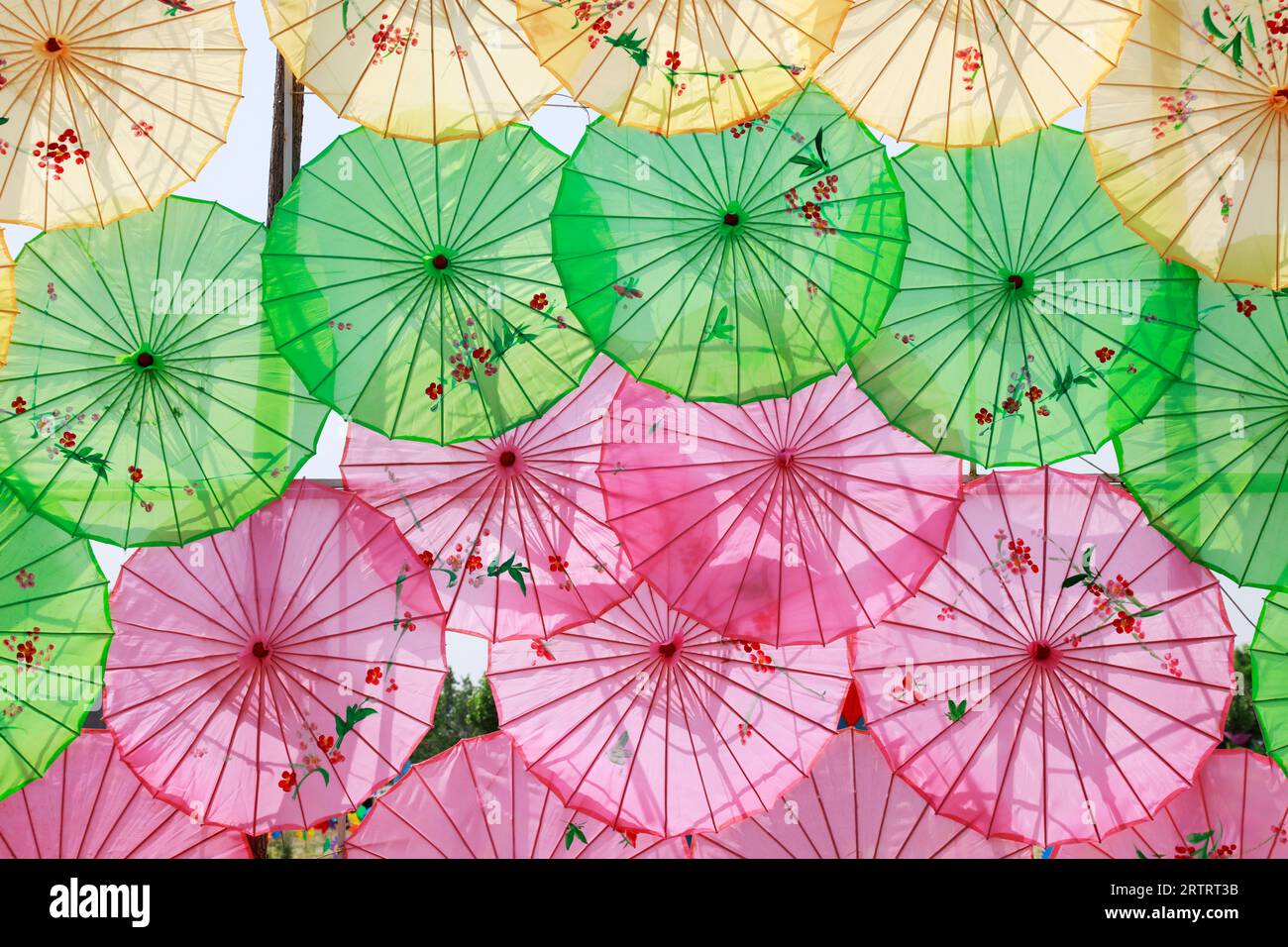 Il paesaggio architettonico dell'ombrello di carta a olio della Cina nel parco Foto Stock Il paesaggio architettonico dell'ombrello di carta a olio della Cina nel parco Foto Stock