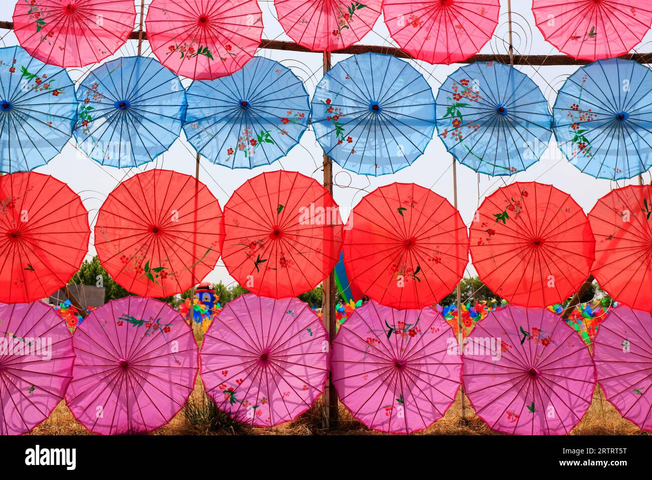 Il paesaggio architettonico dell'ombrello di carta a olio della Cina nel parco Foto Stock Il paesaggio architettonico dell'ombrello di carta a olio della Cina nel parco Foto Stock