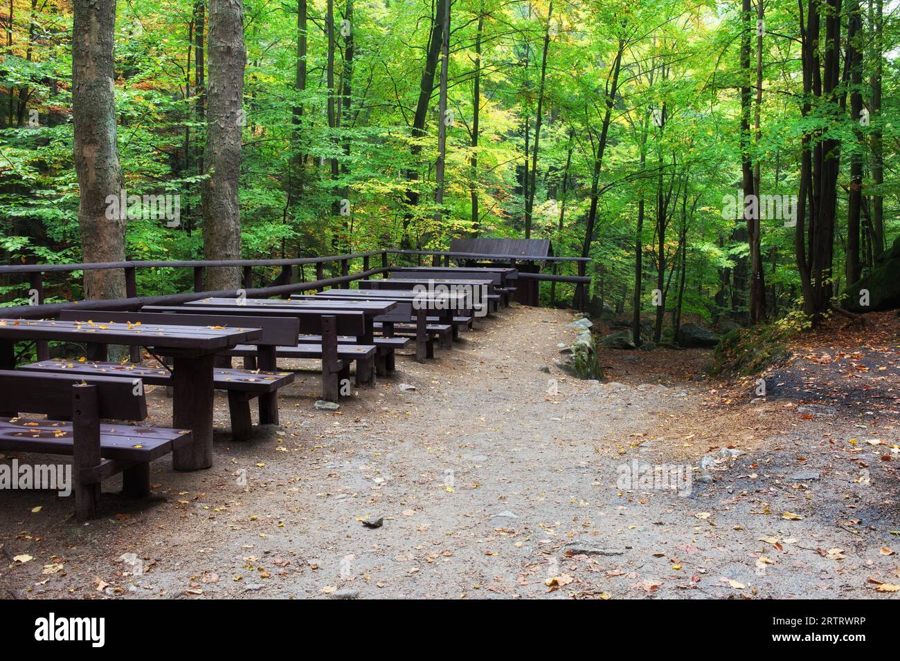 Tavoli con panche in foresta, picnic e luogo di riposo in un ambiente sano e naturale Foto Stock