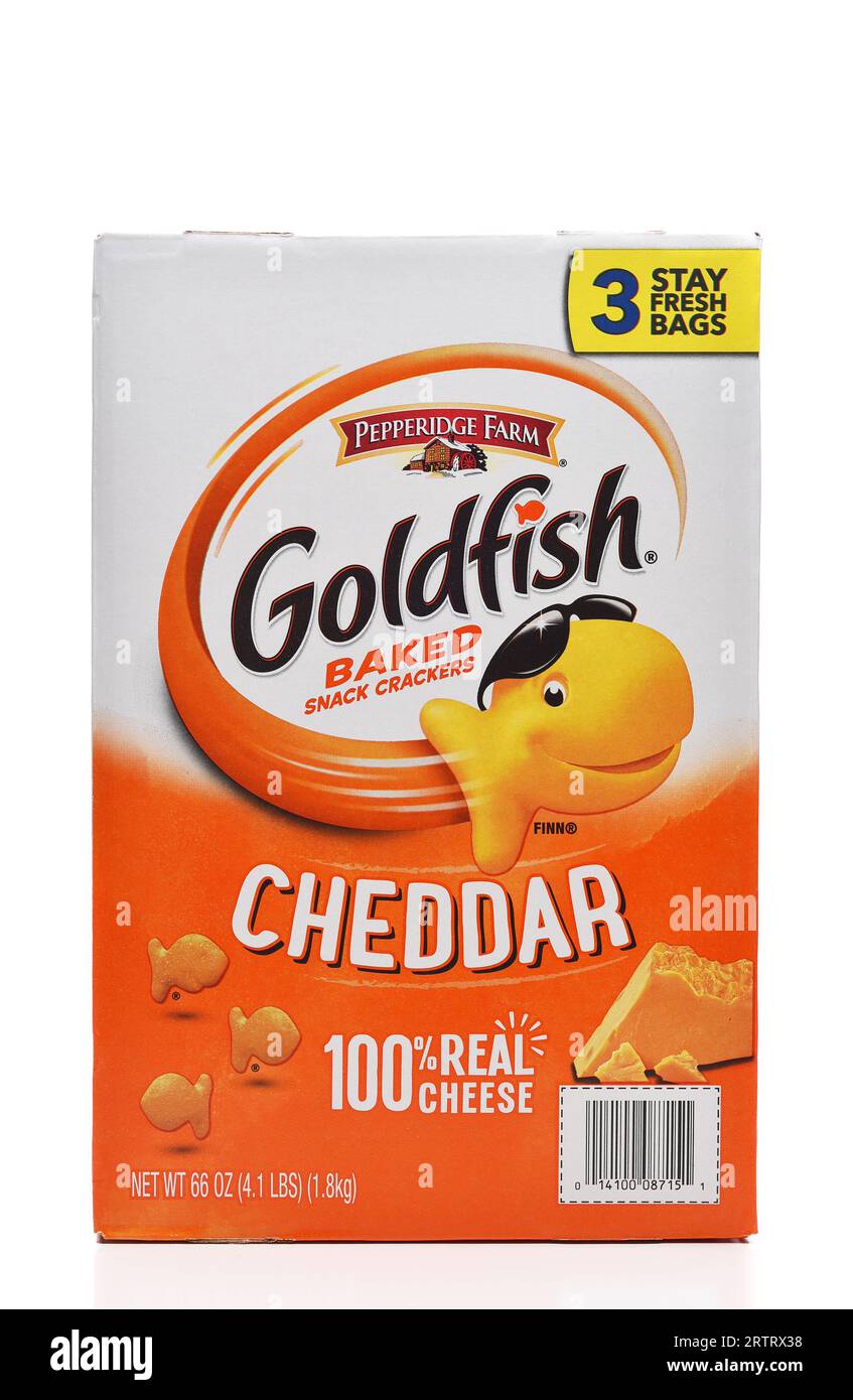 IRVINE, CALIFORNIA - 12 SETTEMBRE 2023: Una scatola di Goldfish snack Crackers Cheddar Flavor. Foto Stock